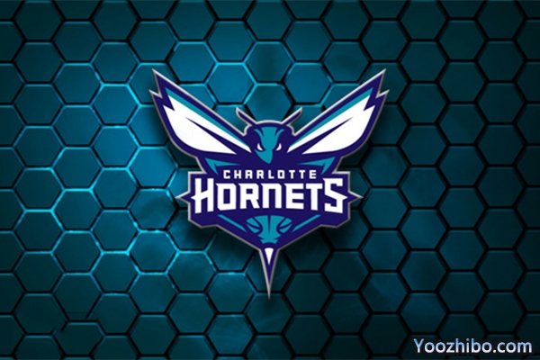 2019-2020赛季<a href=/lanqiuxm/hornets/ target=_blank class=infotextkey>黄蜂</a>队队徽